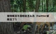 推特限流不涨粉丝怎么办（twitter被限流了?）