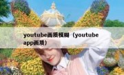 youtube画质模糊（youtube app画质）