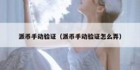 派币手动验证（派币手动验证怎么弄）