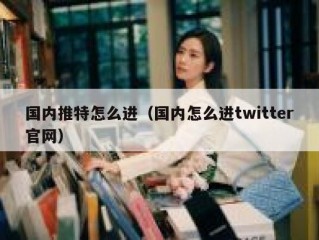 国内推特怎么进（国内怎么进twitter官网）