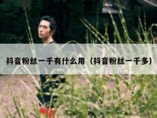 抖音粉丝一千有什么用（抖音粉丝一千多）