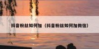 抖音粉丝如何加（抖音粉丝如何加微信）