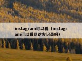 instagram可以看（instagram可以看到访客记录吗）