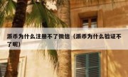 派币为什么注册不了微信（派币为什么验证不了呢）