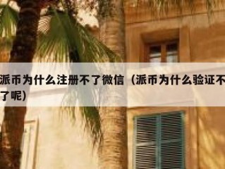 派币为什么注册不了微信（派币为什么验证不了呢）
