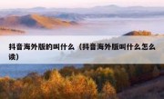 抖音海外版的叫什么（抖音海外版叫什么怎么读）