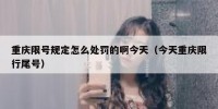 重庆限号规定怎么处罚的啊今天（今天重庆限行尾号）