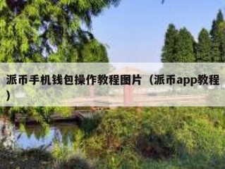 派币手机钱包操作教程图片（派币app教程）