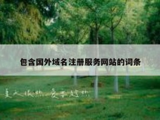包含国外域名注册服务网站的词条