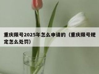 重庆限号2025年怎么申请的（重庆限号规定怎么处罚）