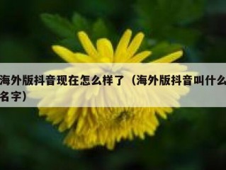 海外版抖音现在怎么样了（海外版抖音叫什么名字）
