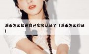 派币怎么知道自己实名认证了（派币怎么验证）