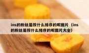 ins的粉丝是按什么排序的呢图片（ins的粉丝是按什么排序的呢图片大全）