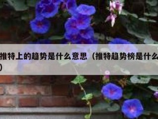 推特上的趋势是什么意思（推特趋势榜是什么）