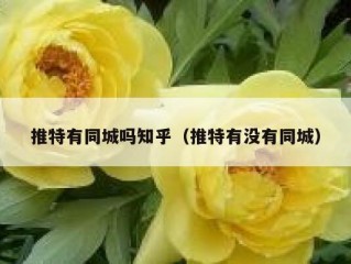 推特有同城吗知乎（推特有没有同城）
