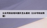 公众号粉丝增长图片怎么看的（公众号粉丝数据）