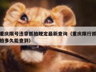 重庆限号违章抓拍规定最新查询（重庆限行抓拍多久能查到）
