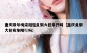 重庆限号桥梁隧道鱼洞大桥限行吗（重庆鱼洞大桥货车限行吗）