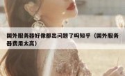 国外服务器好像都出问题了吗知乎（国外服务器费用太高）
