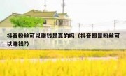 抖音粉丝可以赚钱是真的吗（抖音都是粉丝可以赚钱?）