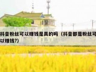 抖音粉丝可以赚钱是真的吗（抖音都是粉丝可以赚钱?）