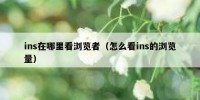 ins在哪里看浏览者（怎么看ins的浏览量）