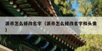 派币怎么修改名字（派币怎么修改名字和头像）