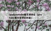 ipadyoutube看不到评论（youtube看不见评论内容）