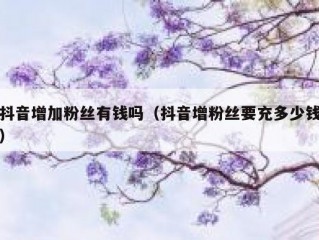 抖音增加粉丝有钱吗（抖音增粉丝要充多少钱）