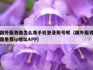 国外服务器怎么用手机登录账号呢（国外服务器免费ip地址APP）
