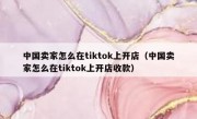 中国卖家怎么在tiktok上开店（中国卖家怎么在tiktok上开店收款）