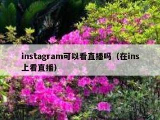 instagram可以看直播吗（在ins上看直播）