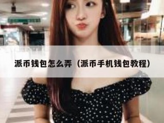 派币钱包怎么弄（派币手机钱包教程）