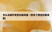 怎么买国外便宜的服务器（想买个便宜的服务器）