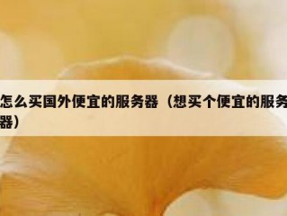 怎么买国外便宜的服务器（想买个便宜的服务器）