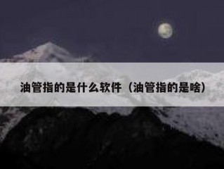 油管指的是什么软件（油管指的是啥）