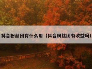 抖音粉丝团有什么用（抖音粉丝团有收益吗）