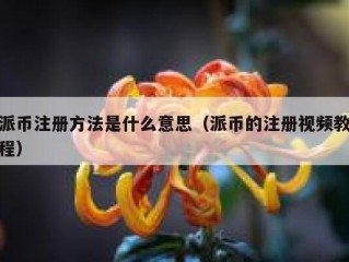 派币注册方法是什么意思（派币的注册视频教程）