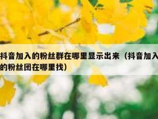 抖音加入的粉丝群在哪里显示出来（抖音加入的粉丝团在哪里找）