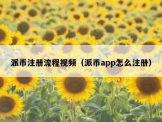 派币注册流程视频（派币app怎么注册）