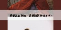 派币怎么审核（派币如何审核名字）