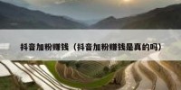 抖音加粉赚钱（抖音加粉赚钱是真的吗）