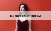 粉丝加计划是什么?（粉丝加v）