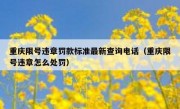 重庆限号违章罚款标准最新查询电话（重庆限号违章怎么处罚）