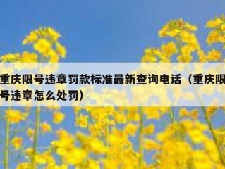 重庆限号违章罚款标准最新查询电话（重庆限号违章怎么处罚）
