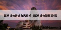 派币钱包开通有风险吗（派币钱包视频教程）