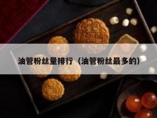 油管粉丝量排行（油管粉丝最多的）