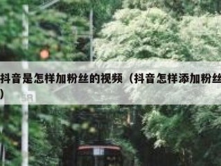 抖音是怎样加粉丝的视频（抖音怎样添加粉丝）