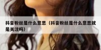 抖音粉丝是什么意思（抖音粉丝是什么意思就是关注吗）
