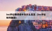 ins评论翻译成中文什么意思（ins评论如何翻译）